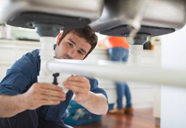 Best Local Plumber Services  in Circleville, OH